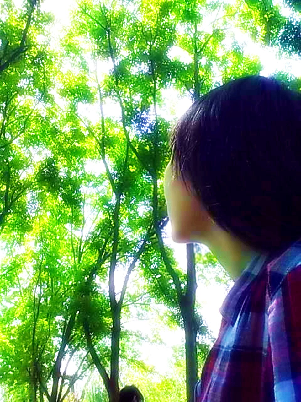 阳光灿烂的大午后