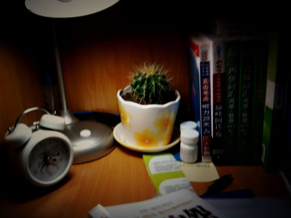 安静平实的生活