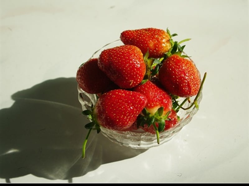 吃草莓