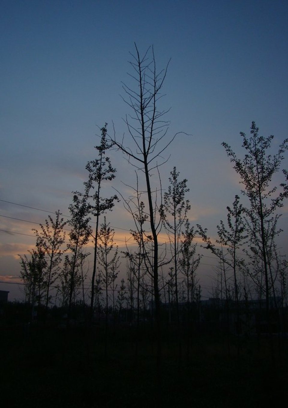 夏日夜晚的凉风习习中和好朋友坐在操场吹风