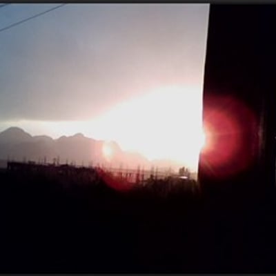 搜集网上的图片