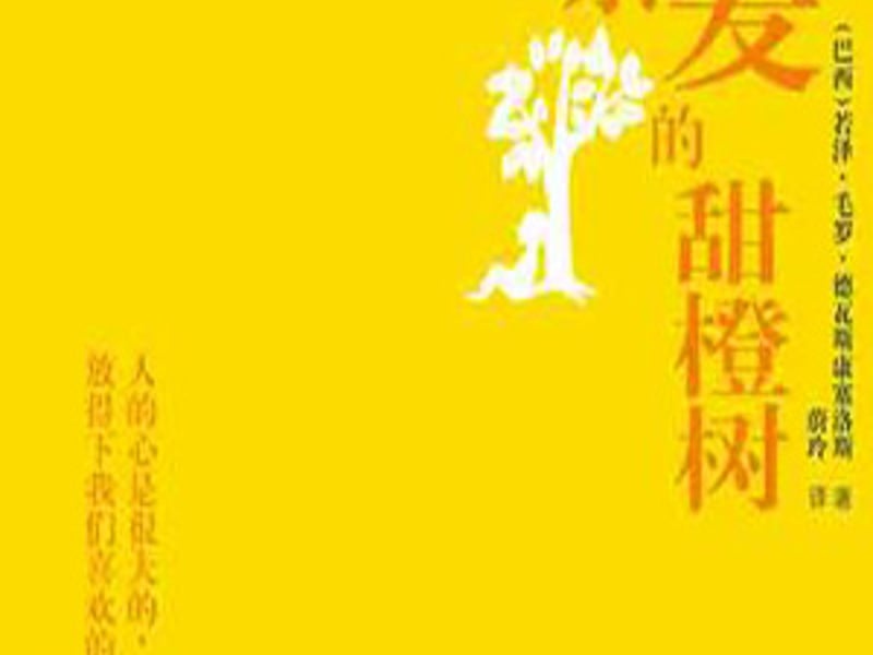 我亲爱的甜橙树