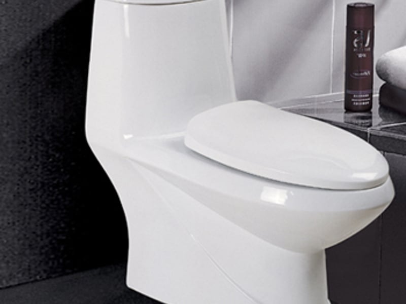 上一次痛快的厕所