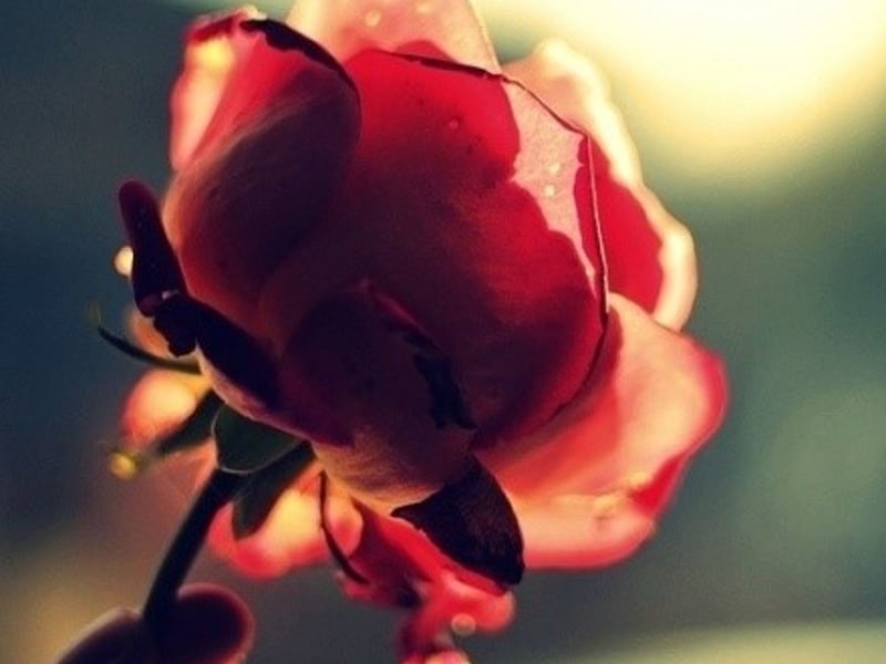 一觉睡到大中午