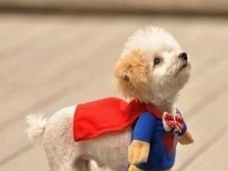 花样年华里的爵士乐