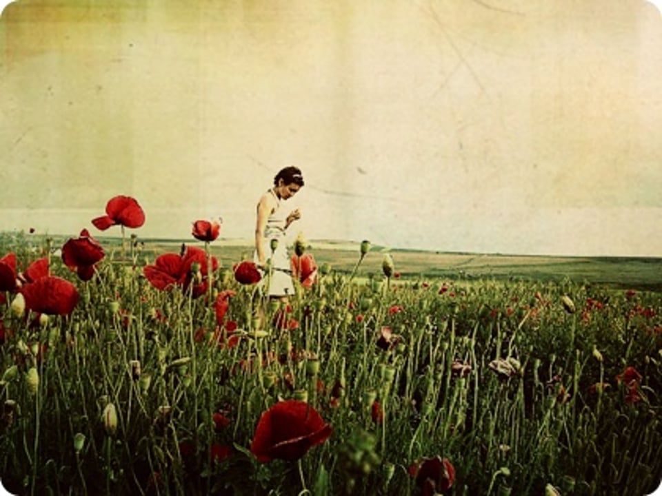 我爱火星人pascal