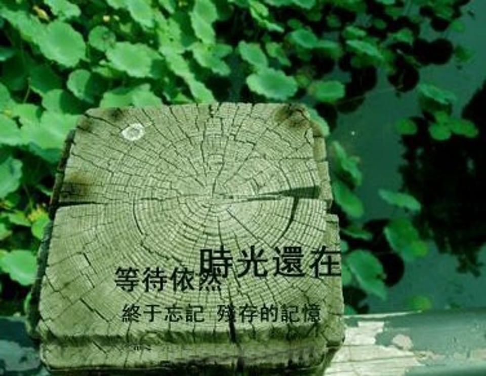 在阳光烂漫的下午睡的满身大汗后起床冲凉