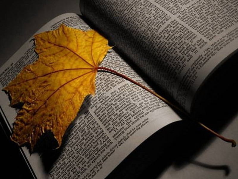 夹在书里的书签