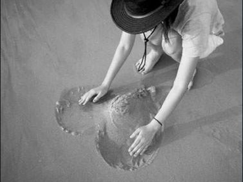 就到这里结束吧喜欢一个人我可以什么都不做