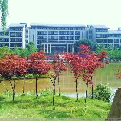 重庆理工大学