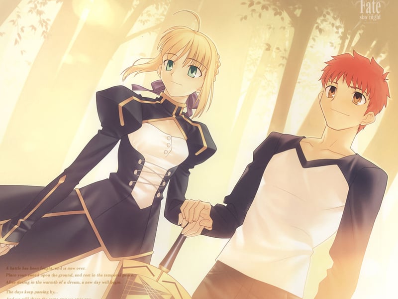 fate stay night