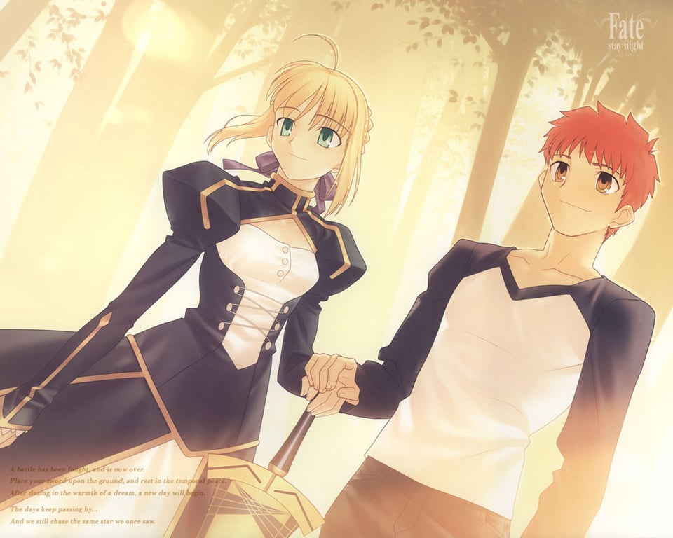 fate stay night