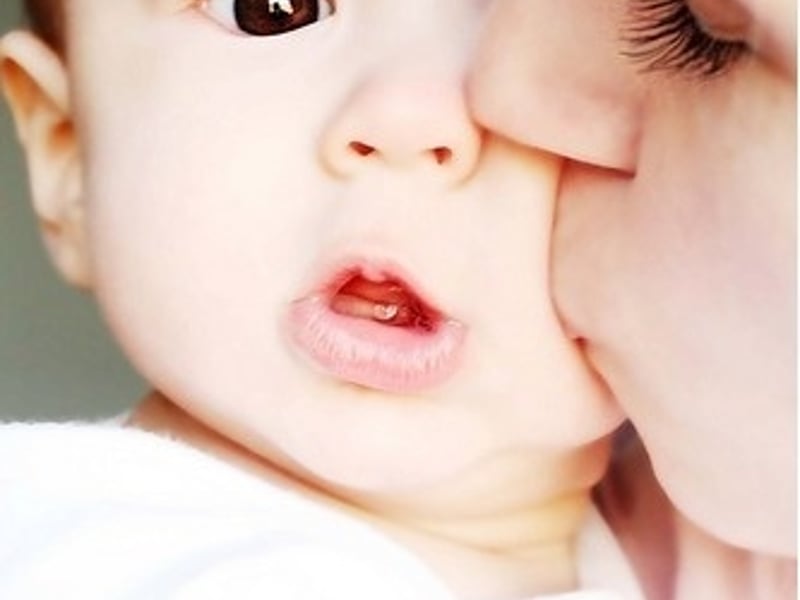 树欲静而风不止