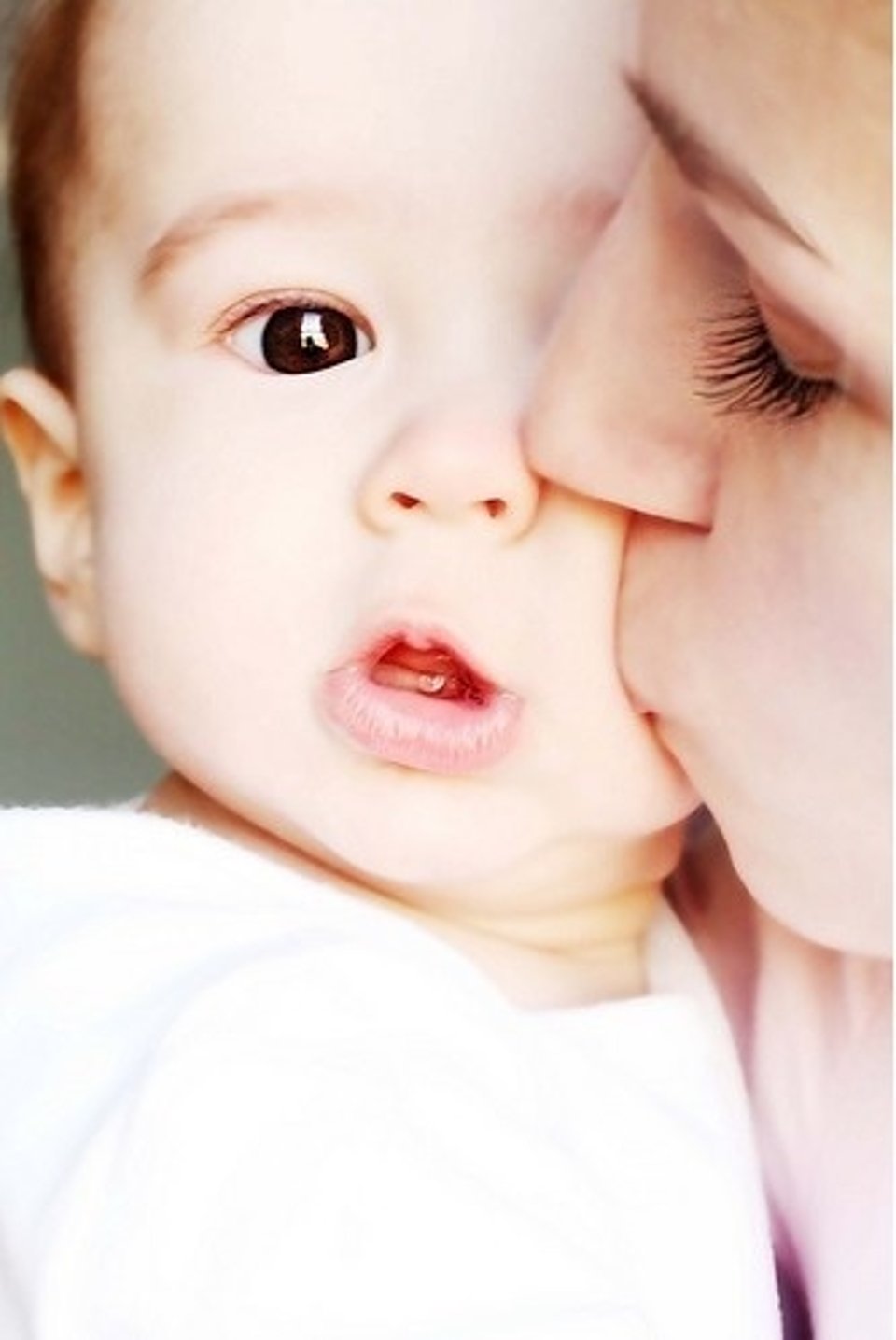 树欲静而风不止