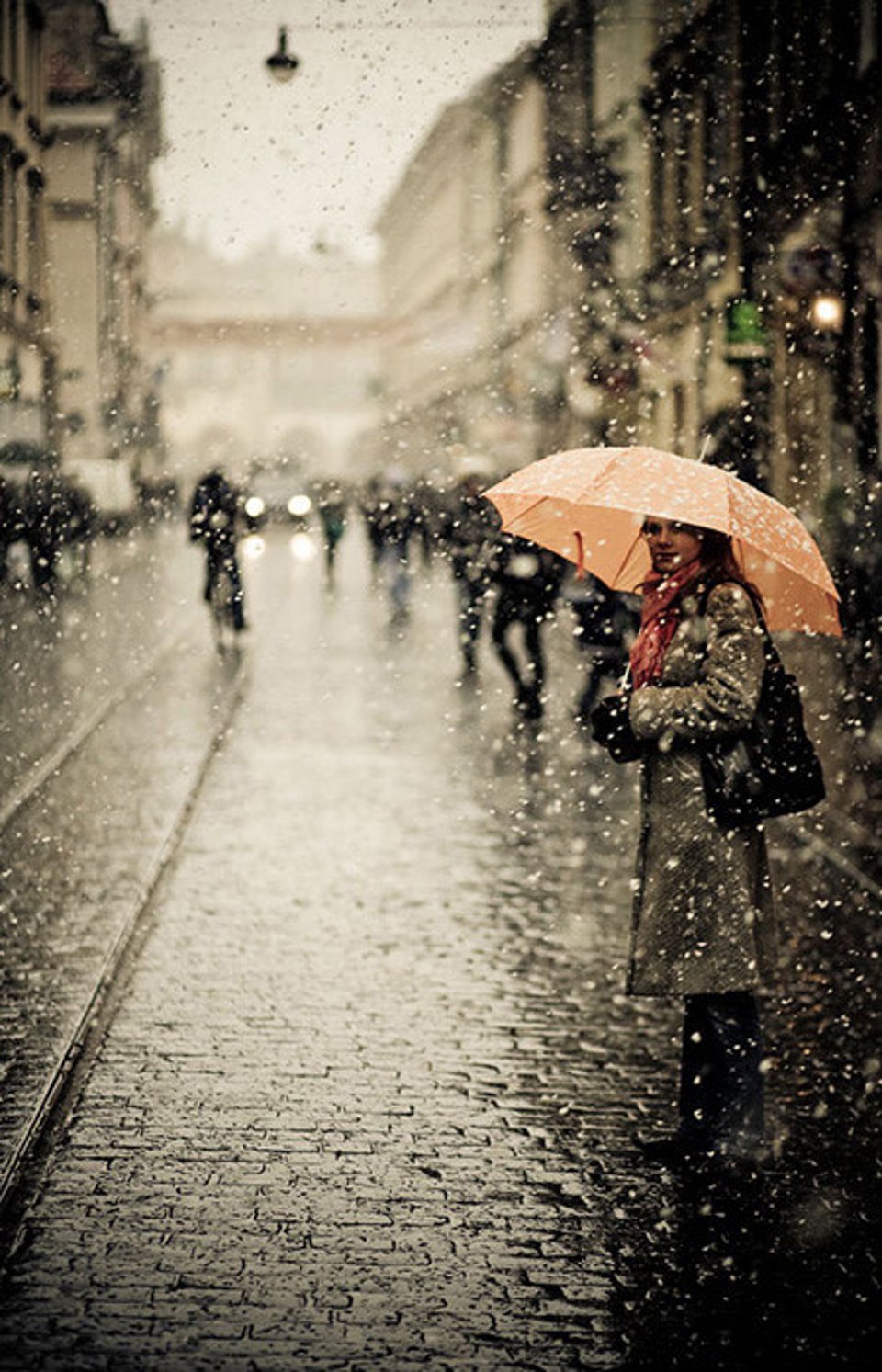 我爱上了一个人但不能说