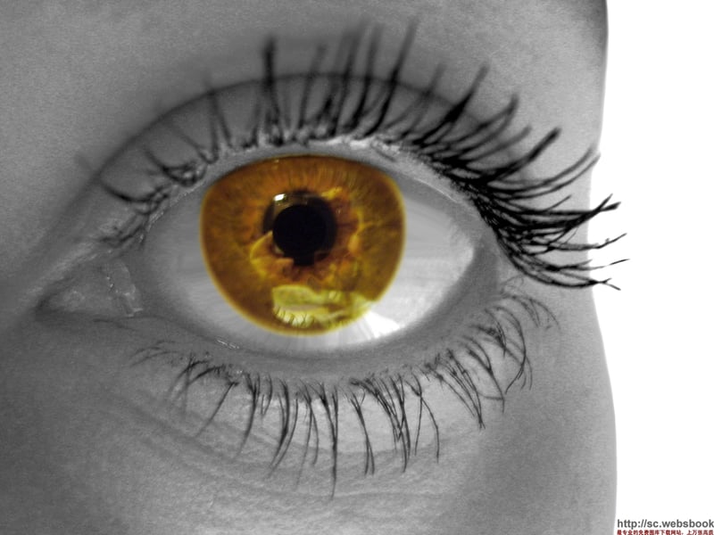 全身都睡了只有眼睛不睡