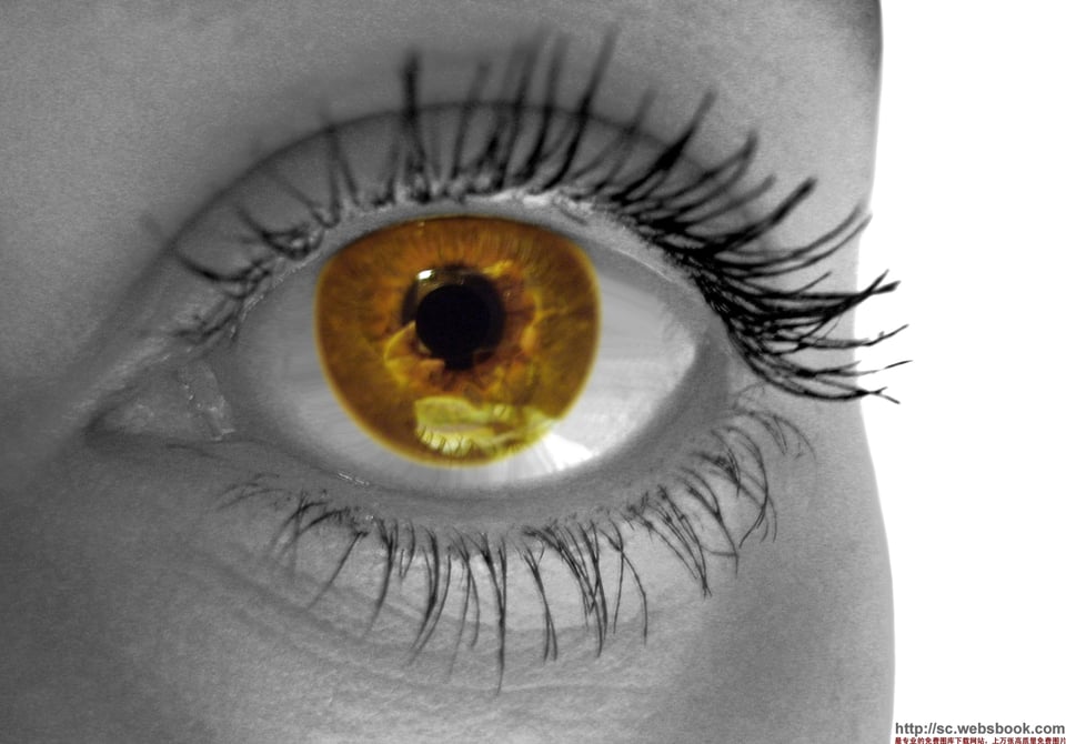 全身都睡了只有眼睛不睡