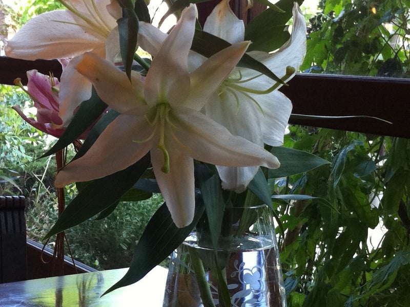 赞美诗312号WhatAFriendWeHaveInJesus