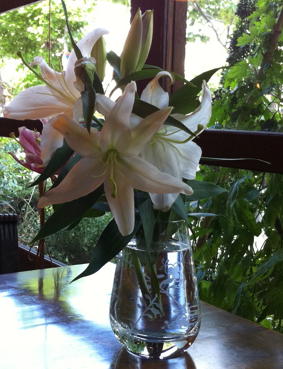 赞美诗312号WhatAFriendWeHaveInJesus