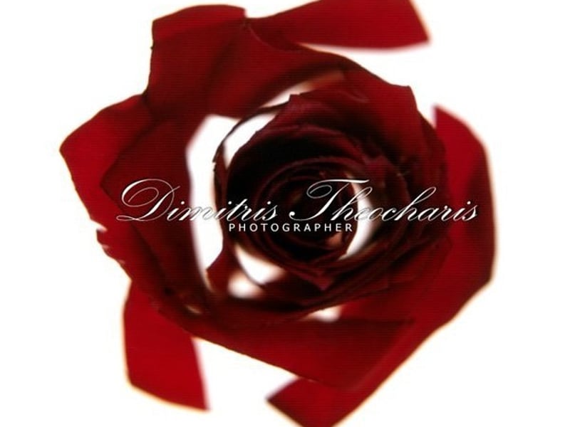 如果这次能成真