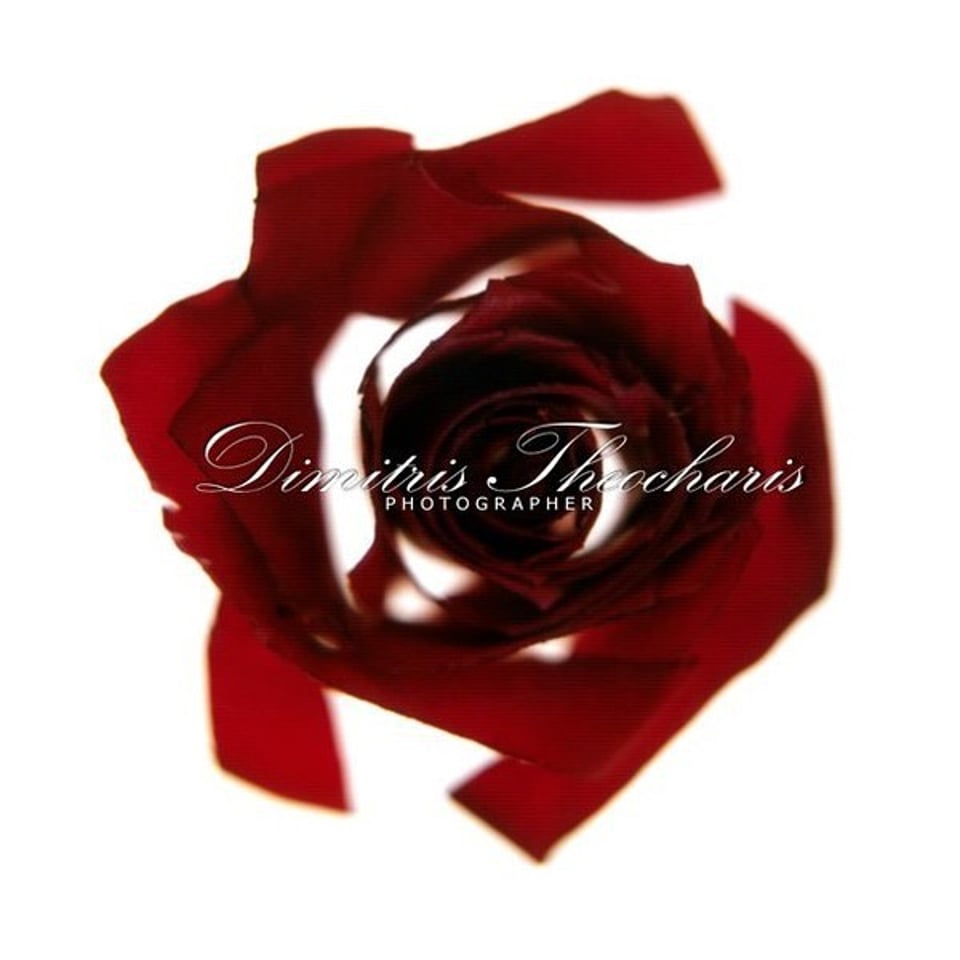 如果这次能成真