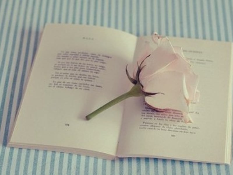 有收获的采访 amp 随意的写稿