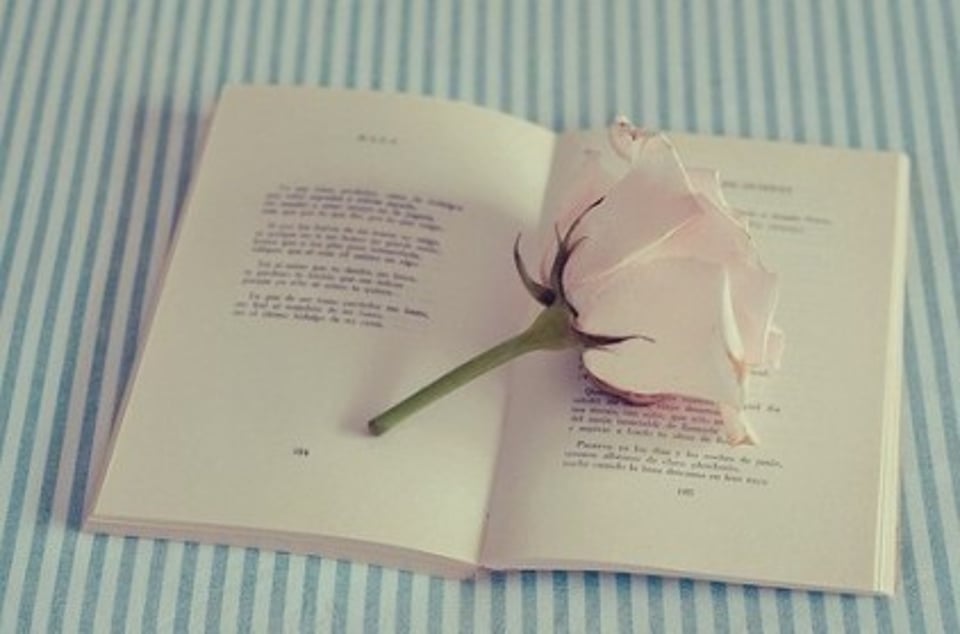 有收获的采访 amp 随意的写稿