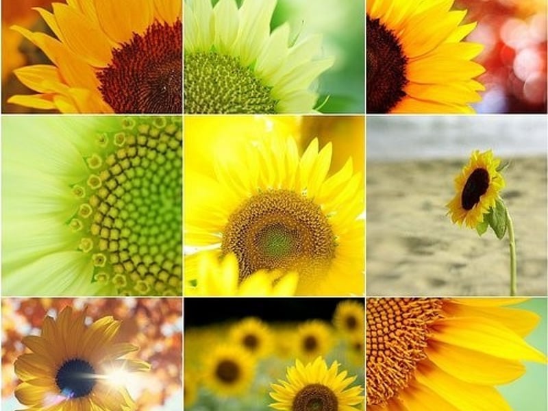 想在18岁谈恋爱