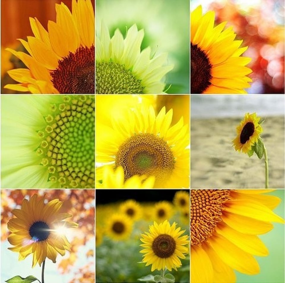 想在18岁谈恋爱