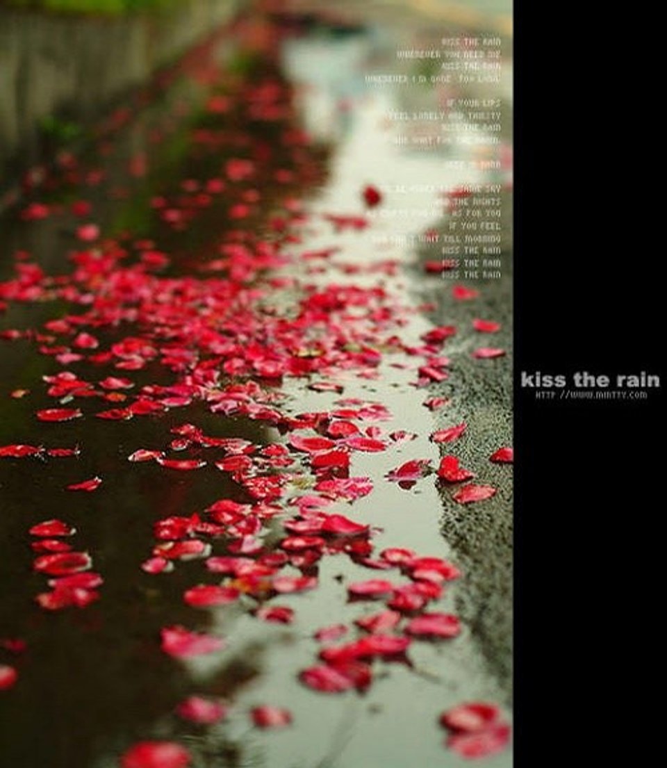 下雨躲在被窝里听雨打在屋顶和窗子上的声音