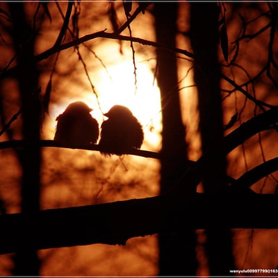 一段美丽頔忧伤