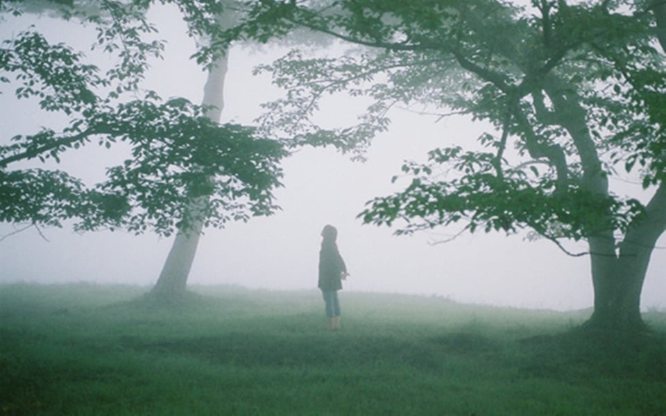 大片大片的浓郁的绿色