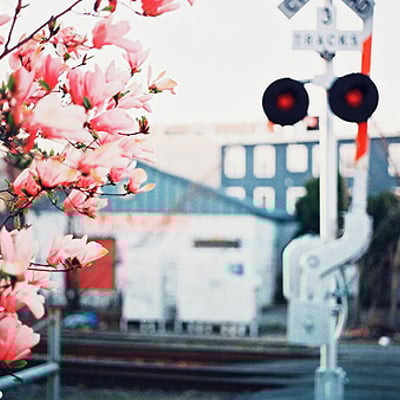 这样子的日暖花开