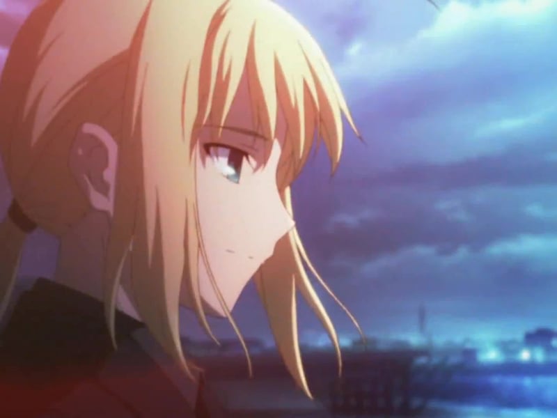 fate zero