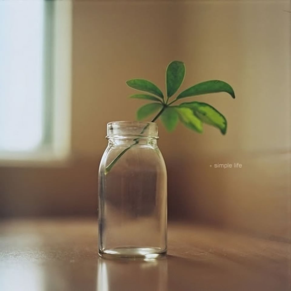 一起努力变优秀吧