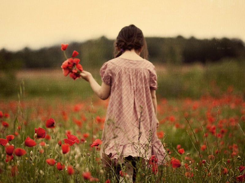 一场盛大的失恋旅行