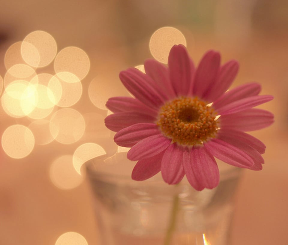 那些在心底的最深处