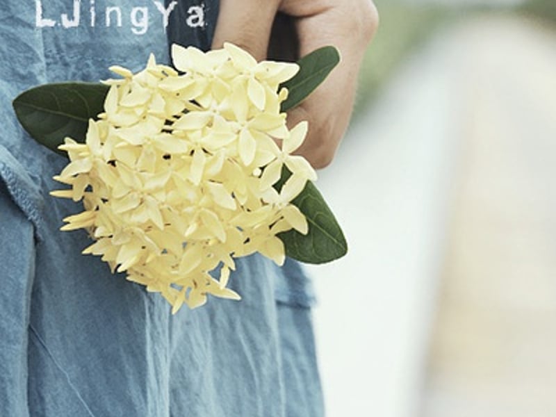 喜欢有人跟我分享她的喜悦