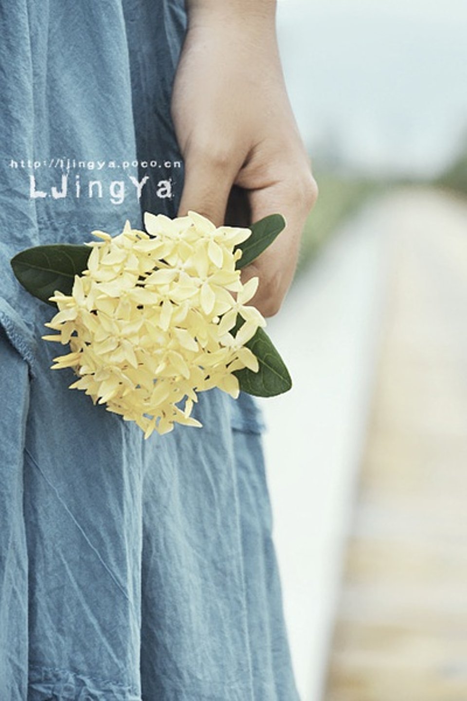 喜欢有人跟我分享她的喜悦