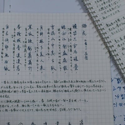 每日一頁的鋼筆字