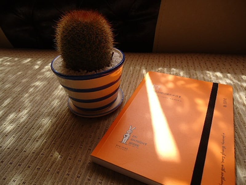 一个人坐在透着光线的窗边无聊写写