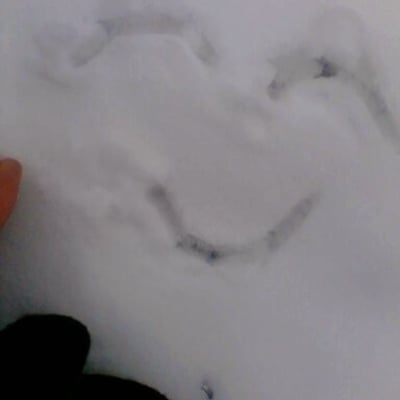 拍各种生活的小清新