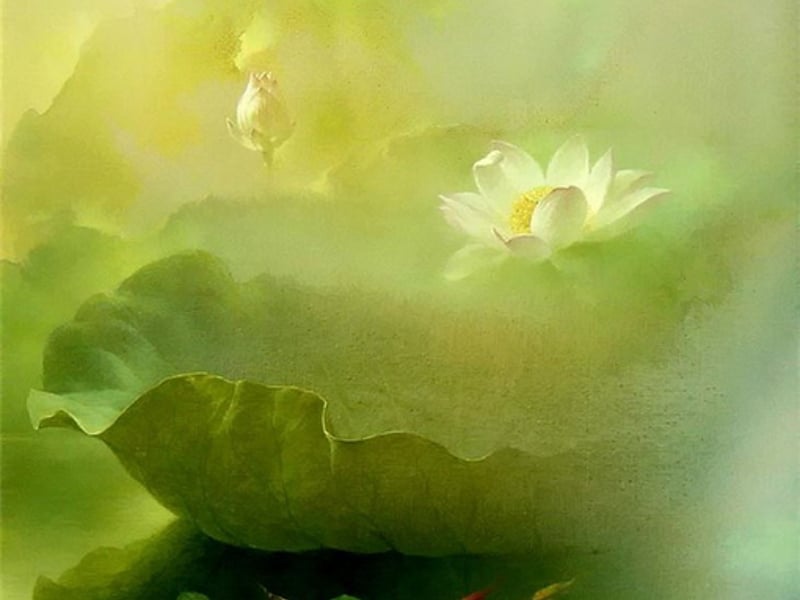 当时只道是寻常