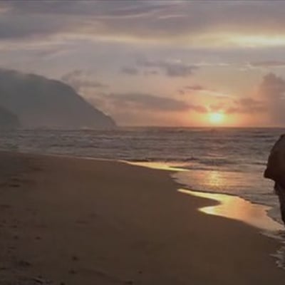 天气暖和了出去走走吧