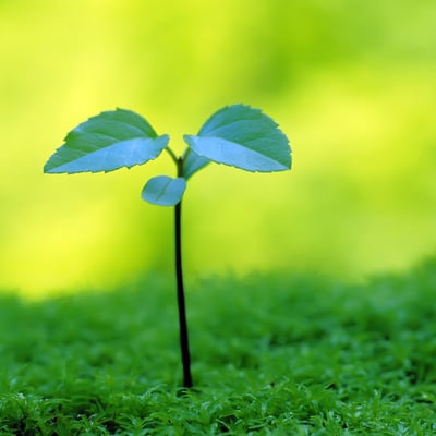 天气暖和了出去走走吧