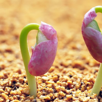 天气暖和了出去走走吧