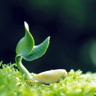 天气暖和了出去走走吧