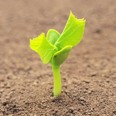 天气暖和了出去走走吧