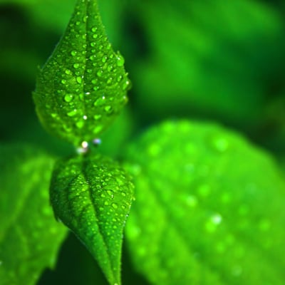 天气暖和了出去走走吧