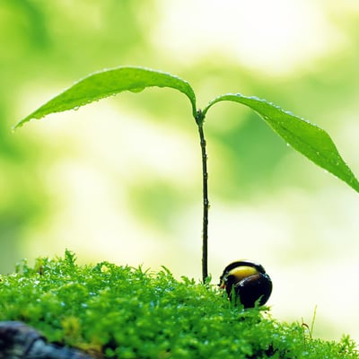 天气暖和了出去走走吧